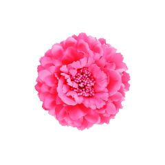 Black Colour Broche