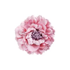 Black Colour Broche